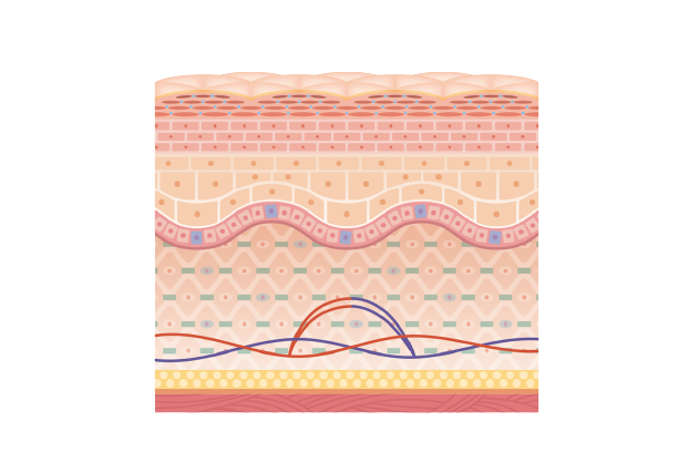 コンテンツ3-2画像