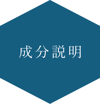 開発コンセプト
